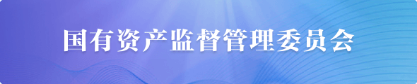 國(guó)有資產(chǎn)監(jiān)督管理委員會(huì)