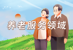 養(yǎng)老服務(wù)領(lǐng)域