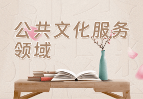 公共文化服務(wù)領(lǐng)域
