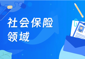 社會(huì)保險(xiǎn)領(lǐng)域